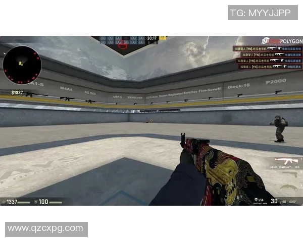 张芳独家揭秘：深入探讨CSGO游戏技巧与心得分享